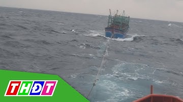 Cứu nạn thành công 9 ngư dân gặp nạn trên biển | THDT