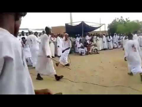 جلد الشاعر ودالخاويه