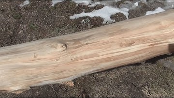 Making a Rustic Aspen Log Bunkbed - Part One