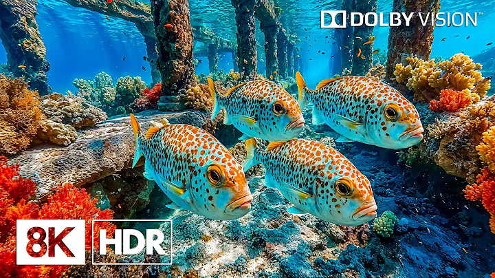 Mystical Deep Ocean Creatures in 8K HDR | Dolby Vision™