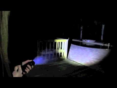 VoidHawk Flashlights Velociraptor Demonstration