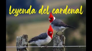LEYENDA DEL CARDENAL
