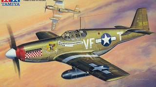Custom Build TAMIYA P-51B MUSTANG 1:48 scale