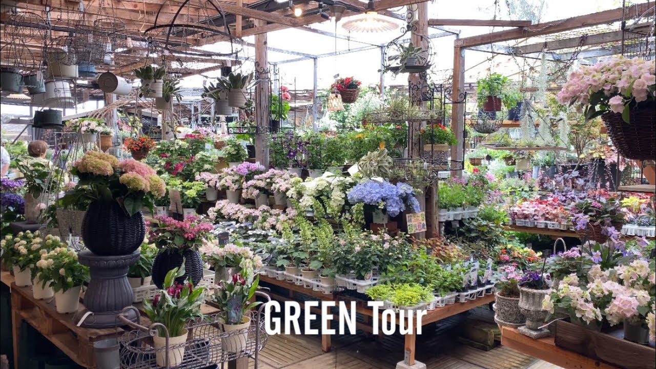 お庭はやっぱりカラーセンスで決まる！色合わせ変えるだけでお洒落度は倍増！こだわり抜かれたレイアウトを参考にしたいお洒落で素敵すぎるお店 | 金久|  観葉植物/園芸店巡り | 大阪/日根野