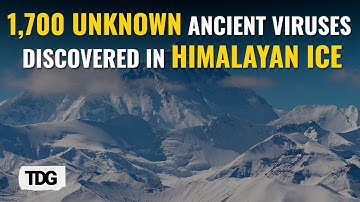Melting Himalayan Ice Yields 1,700 Ancient Viruses: A New Scientific Breakthrough