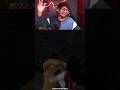 Maya Ek Pishachini Funniest ENDING Scene 🤣  #shorts #gamingengineer