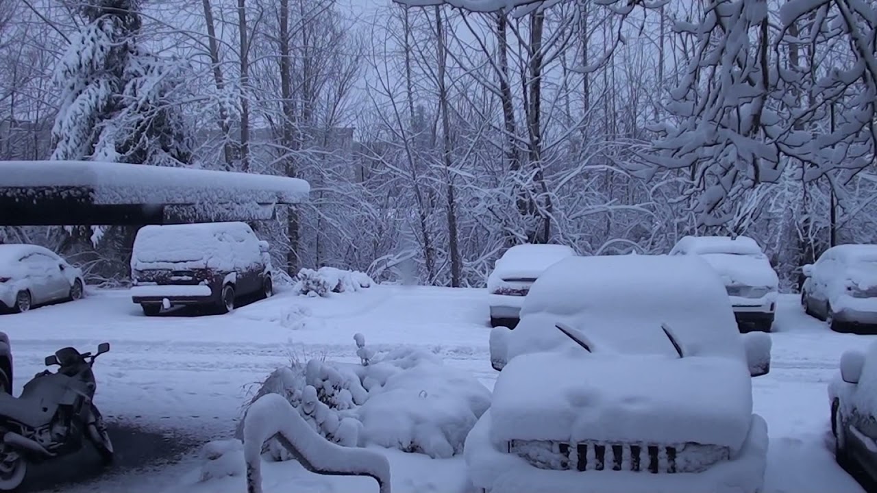 Snowpocalypse in Oregon  Beautiful Wonderland
