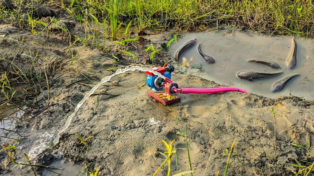 Fish Catching From Field Using Mini Water Pump - Fishing Exciting ...
