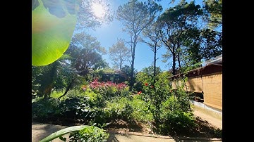 Con Mắt Thứ Ba – Khai Mở Trực Giác Và Kết Nối Với Vũ Trụ