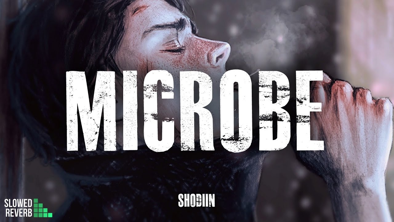SHODIIN   Microbe  Slowed  Reverb 