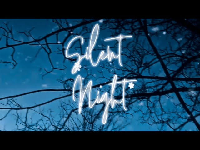 Silent Night (Christmas 2025 cover)