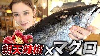 【激辛】市場で仕入れた朝天辣椒とキメジマグロのコンビで思わず発狂しました、、、