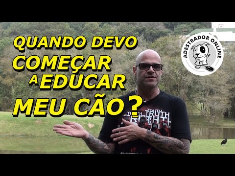 Vídeo: Quando Começar A Treinar Seu Cachorro