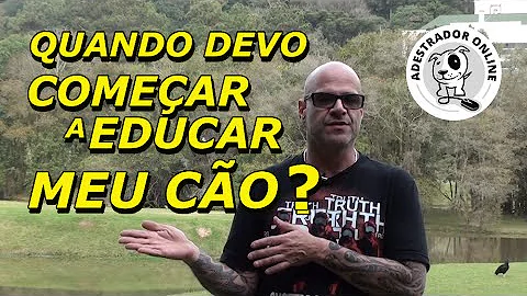 Qual a idade certa para começar a adestrar um cão?