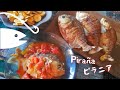 Piraña ~Pesca y Cocina~ / ピラニア釣りとピラニア料理＠ボリビアアマゾン
