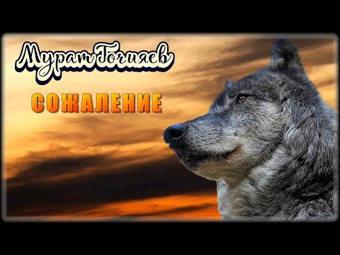 Мурат Гочияев - Сожаление | Шансон Юга