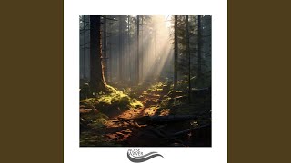 Whispers of Serene Harmony