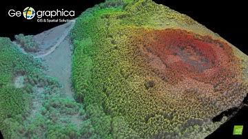 3D forest point cloud