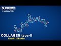 Collagen typeii  c106h174n32o37  3d molecule