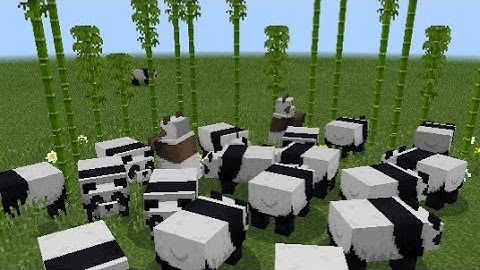 Minecraft BE 1.8.0.8 BETA Cats, Bamboo, Scaffolding And Pandas!