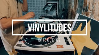 VINYLITUDES.02 | Deep & Groovy House | Vinyl Mix | Sebb Junior
