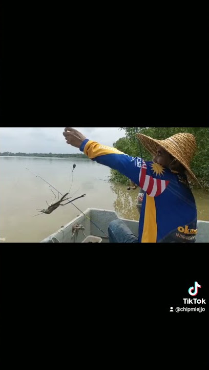 Shrimp Hunter Video 'Jenggo'