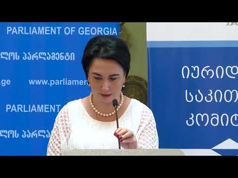 იურიდიულ საკითხთა კომიტეტის „საპილოტე სასწავლო პროგრამის პრეზენტაცია“ პარლამენტისთვის