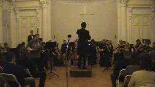 Mozart Horn Concerto №4(1)