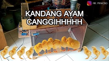 Bikin kandang ayam canggih dengan arduino