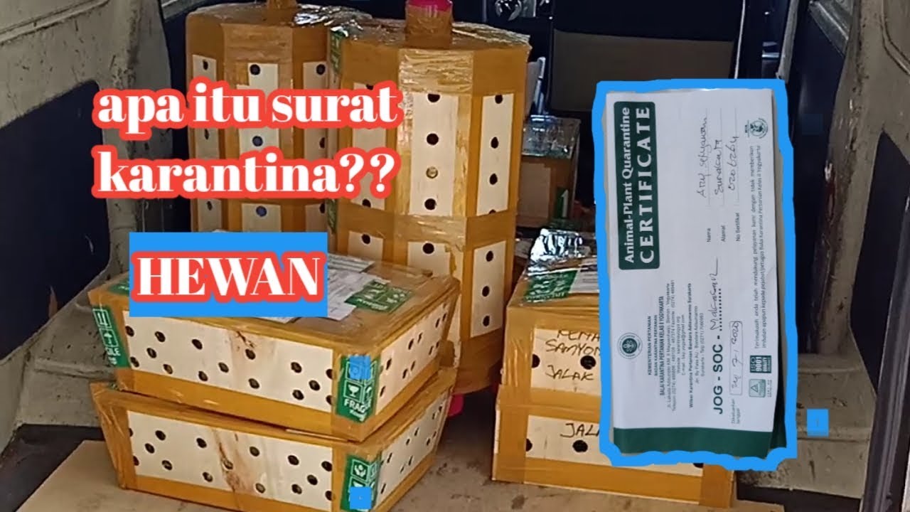 Apa Itu Surat Akuan