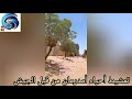 شارع الوادي و شارع العرضه أمدرمان يعود إلى الحياة بعد هروب الدعم السريع و تمشيط من القوات المسلحة شارع الوادي و شارع العرضه أمدرمان يعود إلى الحياة بعد هروب الدعم السريع و تمشيط من القوات المسلحة