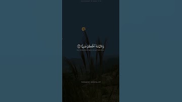 الشيخ محمد صديق المنشاوي 🤍🌿 تلاوة رائعة من سورة مريم 🎧