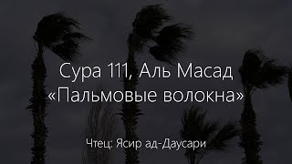 Сура 111, Аль Масад - «Пальмовые волокна». Ясир ад Даусари