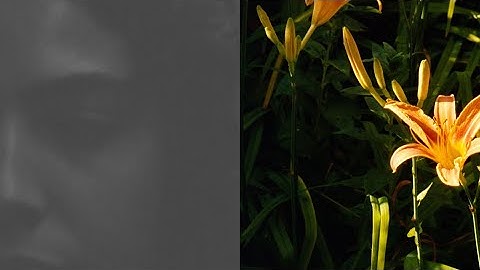 Highly Emotional People - mission (Official Visualizer)