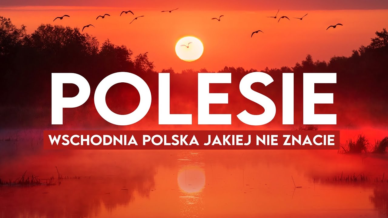 Polesie - rowerem wzdłuż granicy Ukrainy i Białorusi 🚴‍♂️💨 W poszukiwaniu rosiczki i żółwi błotnych🐢