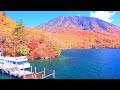 4K映像 絶景紅葉「奥日光の紅葉　中禅寺湖遊覧船Ⅰ　立木観音～船の駅中禅寺～菖蒲ヶ浜」 autumn leaves japan 美しい四季 秋 栃木県日光市 10月中旬 絶景自然風景 8K撮影