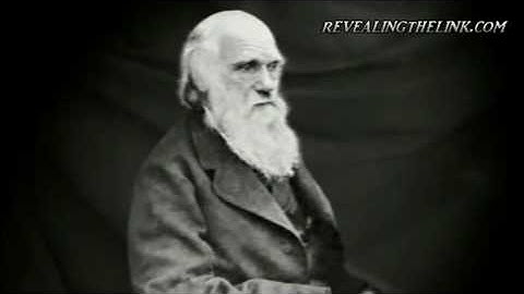 Missing Link In Human Evolution Revealed - mirrored