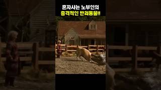 노부인의 충격적인 반려동물… 🐊