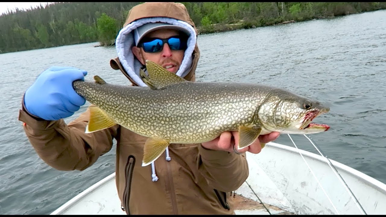 CATCHING LAKE TROUT IN NORTHERN SASKATCHEWAN - YouTube