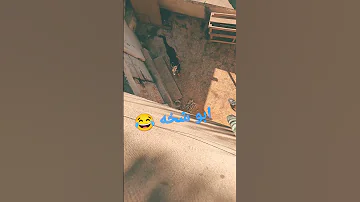 ابو شخه 