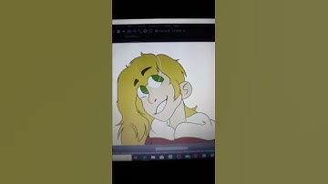 MediBang wont work