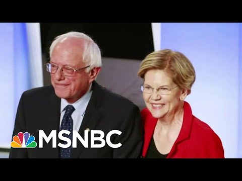 Democrats Face Off In Last Debate Before Iowa Caucuses | Deadline | MSNBC