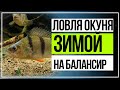 Ловля окуня зимой. Подводное видео. Балансир, блесна и прочие приманки.