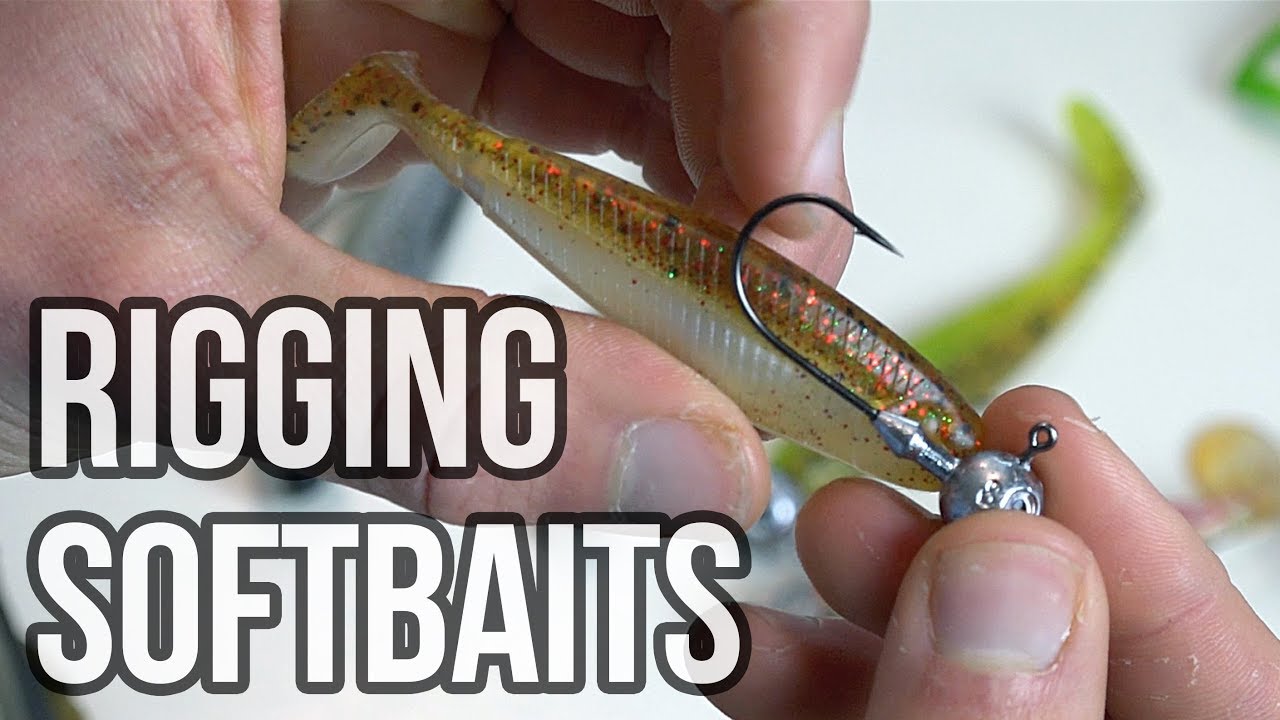 How to rig a softbait on to different hooks [jighead, offset hook