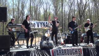 I'll Feel A Whole Lot Better (The Byrds) live cover by the Vynals