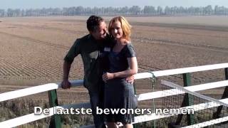 Korenbloem Te Kortgene