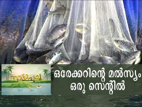 Vayaloram Aquaponics Farm Aluva Kerala - aquaponic