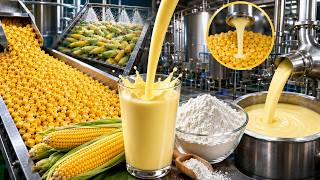 Inside a Massive Corn Factory π½ | How Corn Milk & Corn Starch Are Made