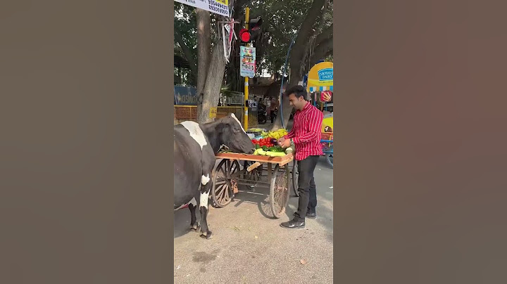 अंकल का सब्ज़ी गाय माता खा गई😱🥲#shortsvideo #shortvideo #short