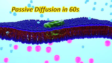 Passive Diffusion Explained in 60 Seconds!